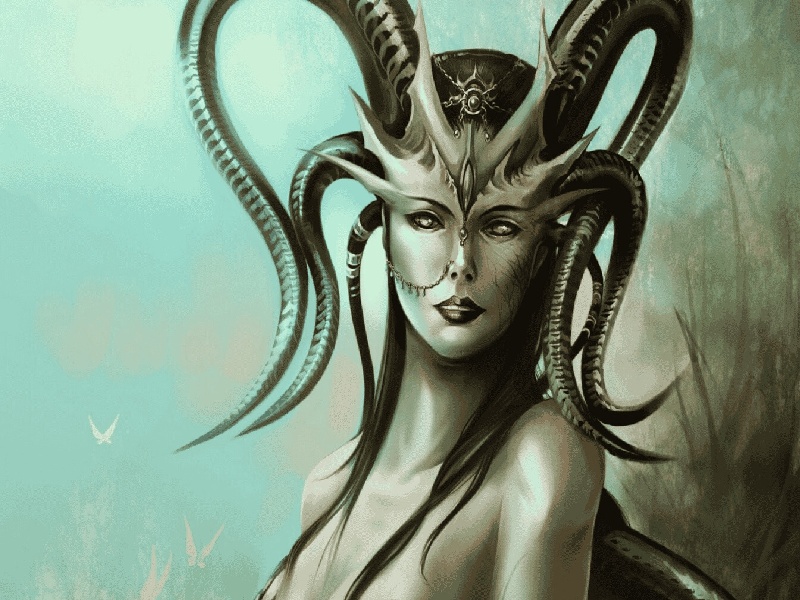 试管之路鲜胚试管费用及成功率宫腔镜手术费用多少