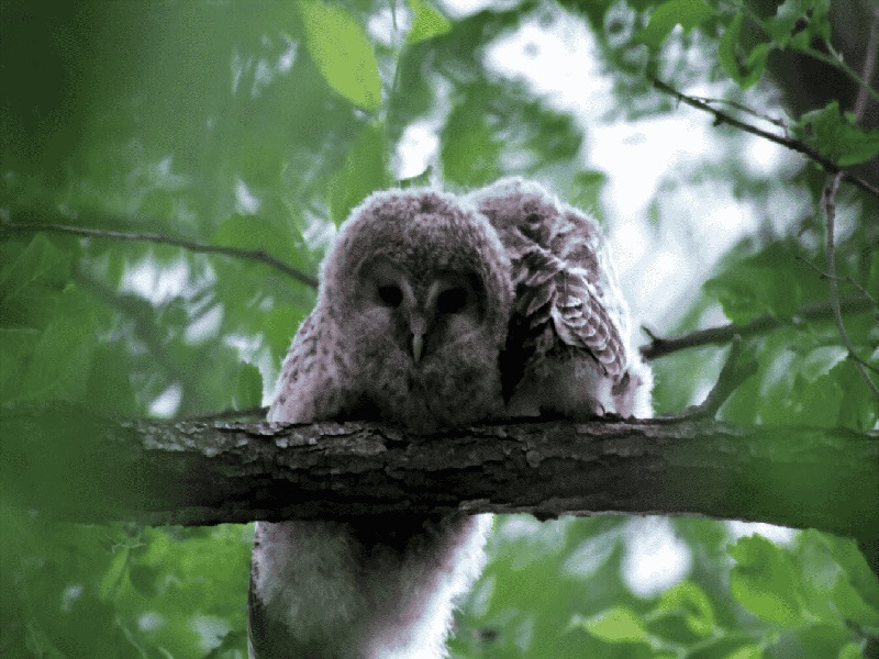 厦门试管沙爱国试管皮肤变好了试管的洗涤教案